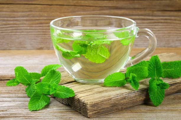 تصویر 1 از خرید عرق نعناع اصلی + قیمت فروش استثنایی